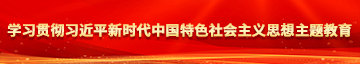 使劲狂喷在线播放学习贯彻习近平新时代中国特色社会主义思想主题教育